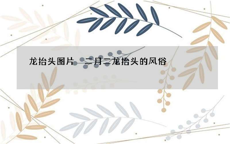 龙抬头图片 二月二龙抬头的风俗